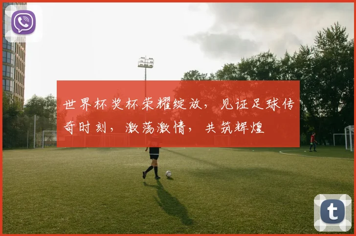 世界杯奖杯荣耀绽放，见证足球传奇时刻，激荡激情，共筑辉煌
